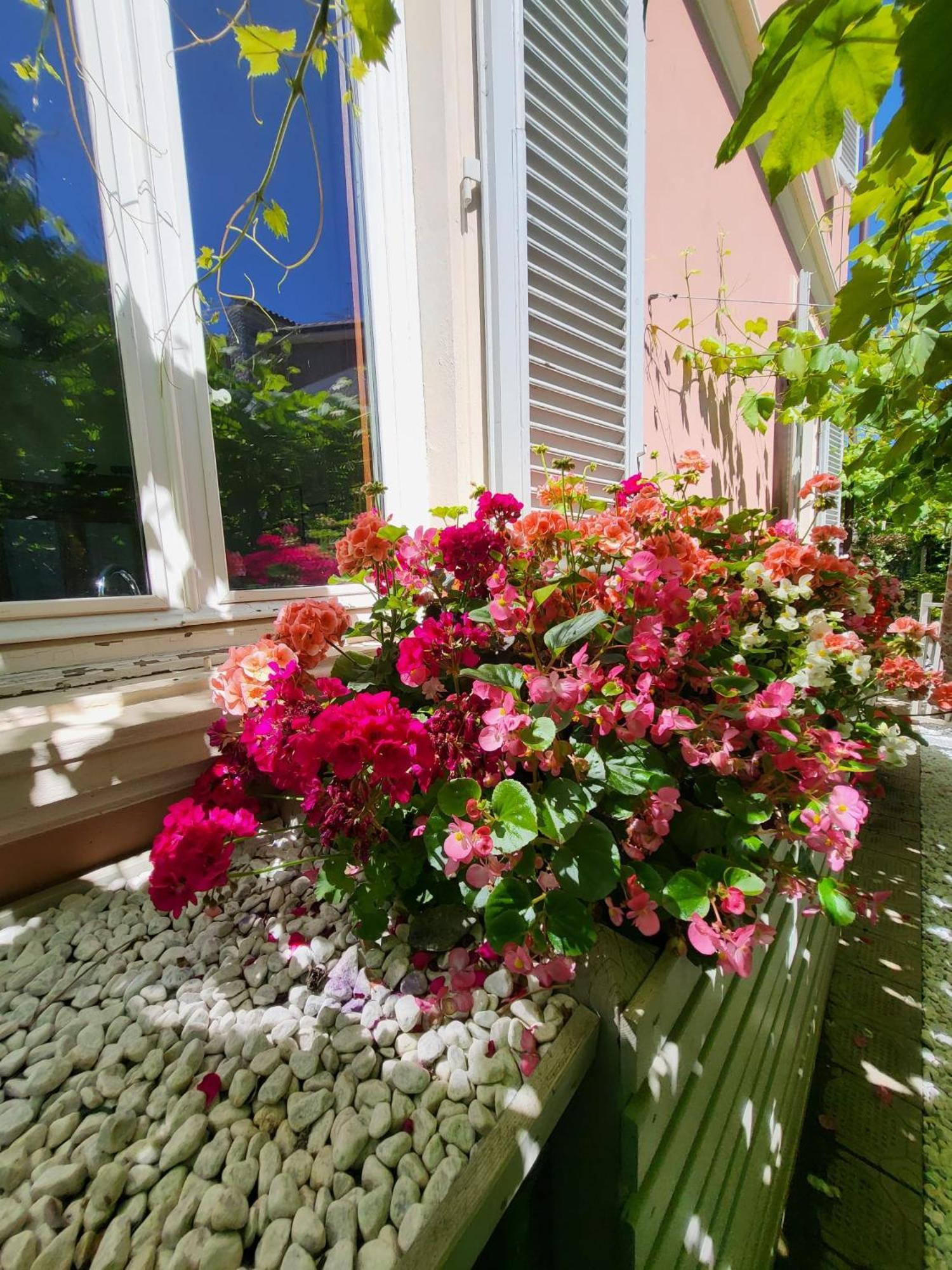 Il Buen Retiro Hotel Lucca Kültér fotó