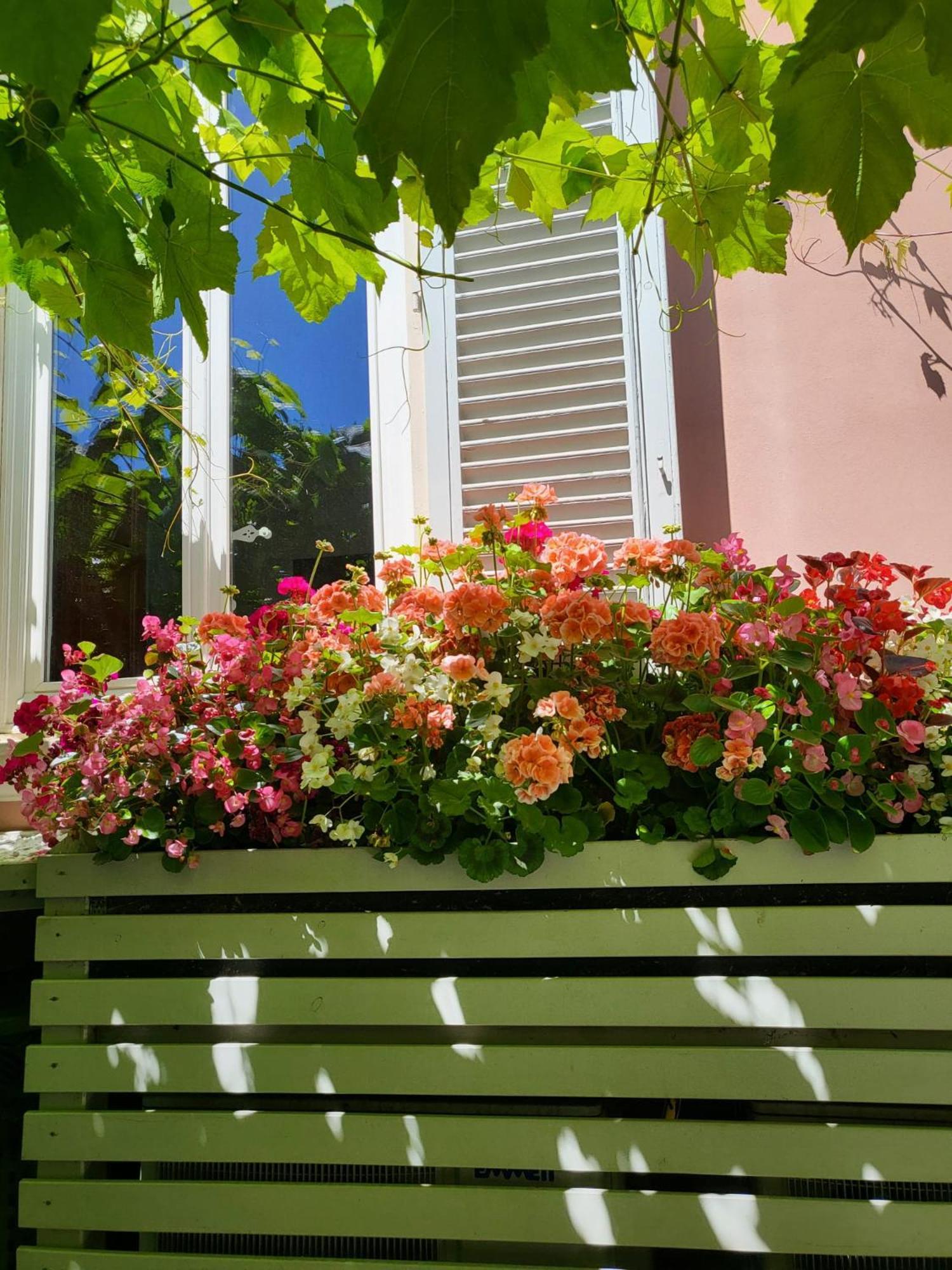 Il Buen Retiro Hotel Lucca Kültér fotó