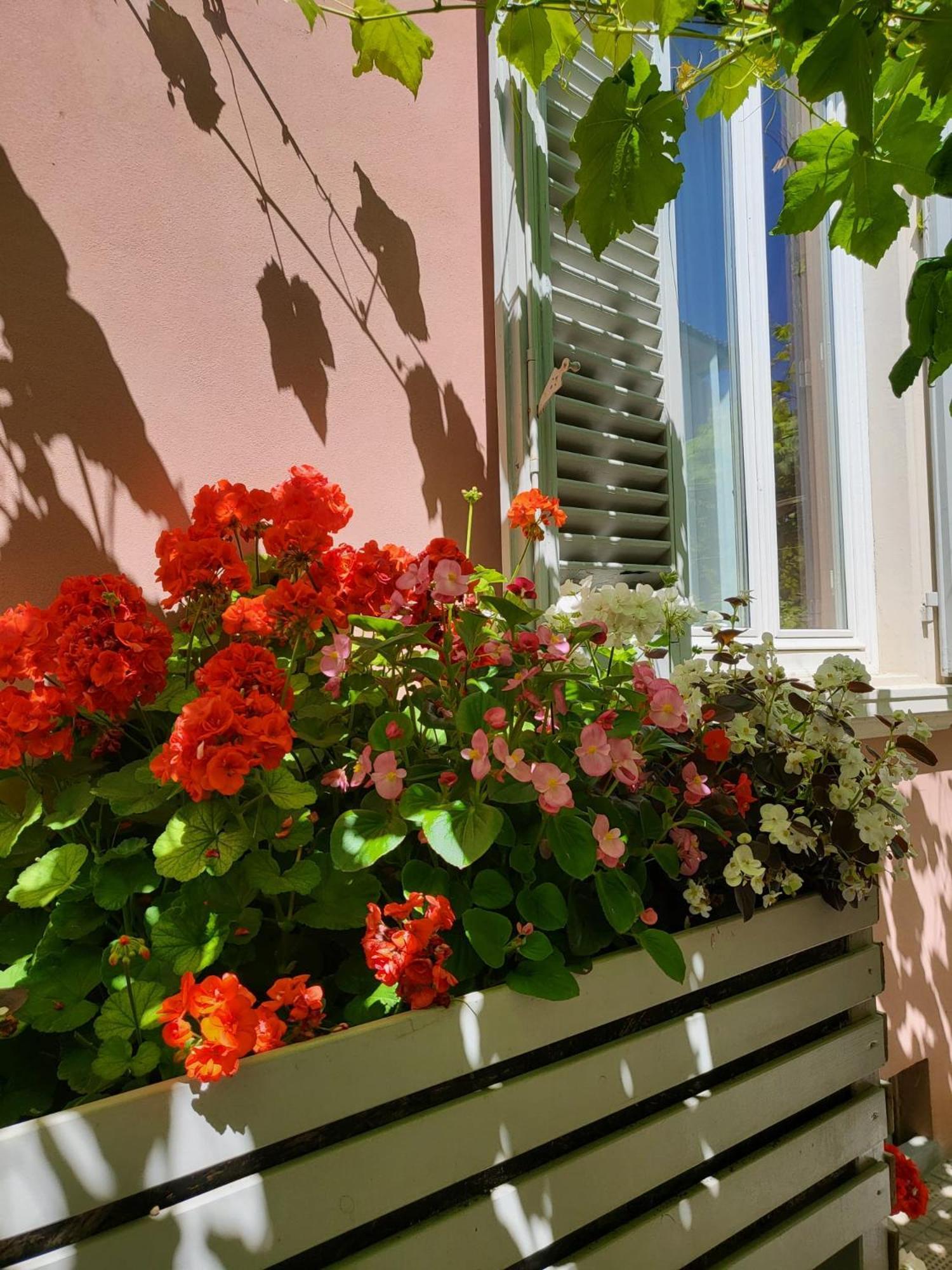 Il Buen Retiro Hotel Lucca Kültér fotó