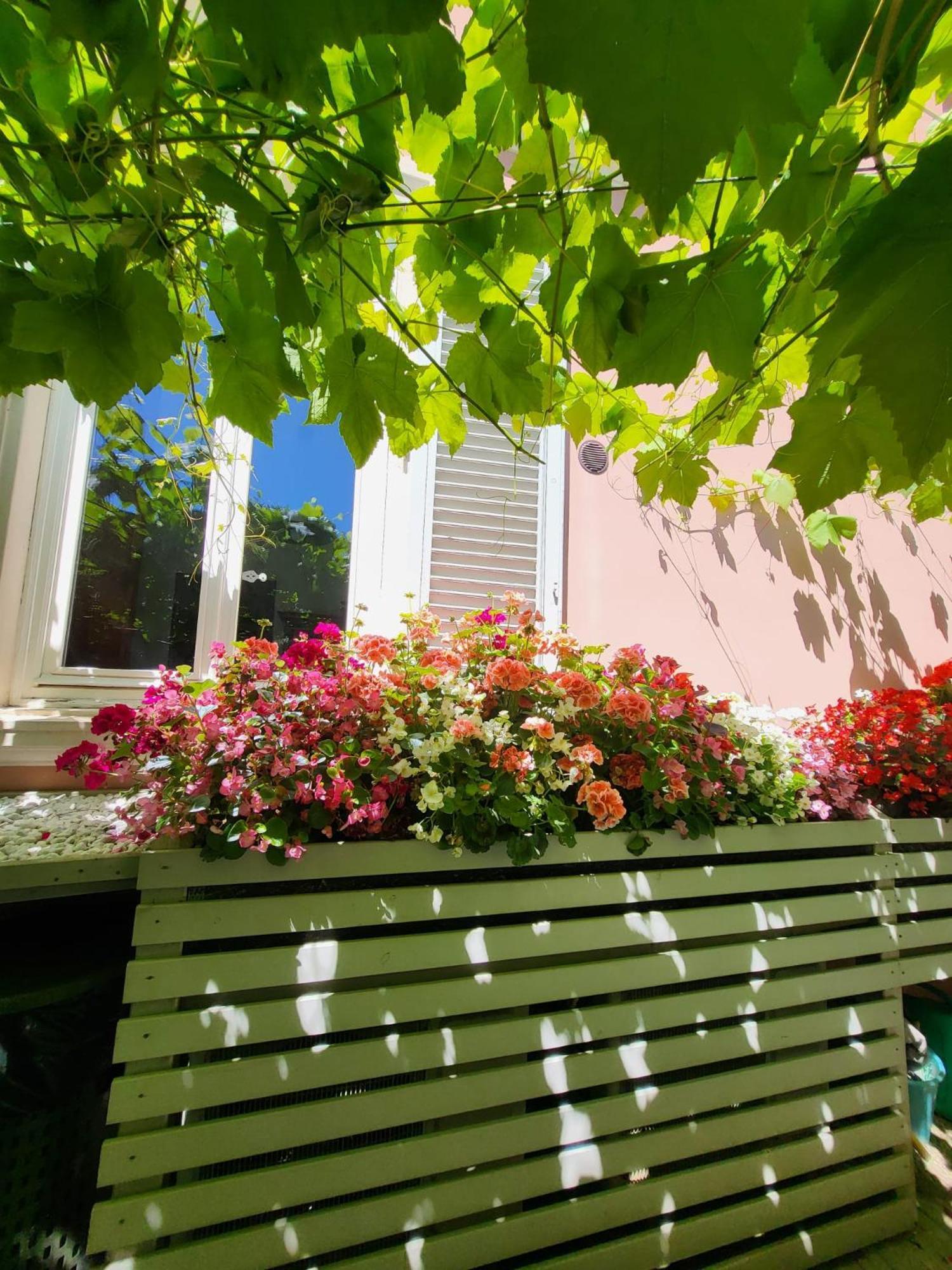 Il Buen Retiro Hotel Lucca Kültér fotó