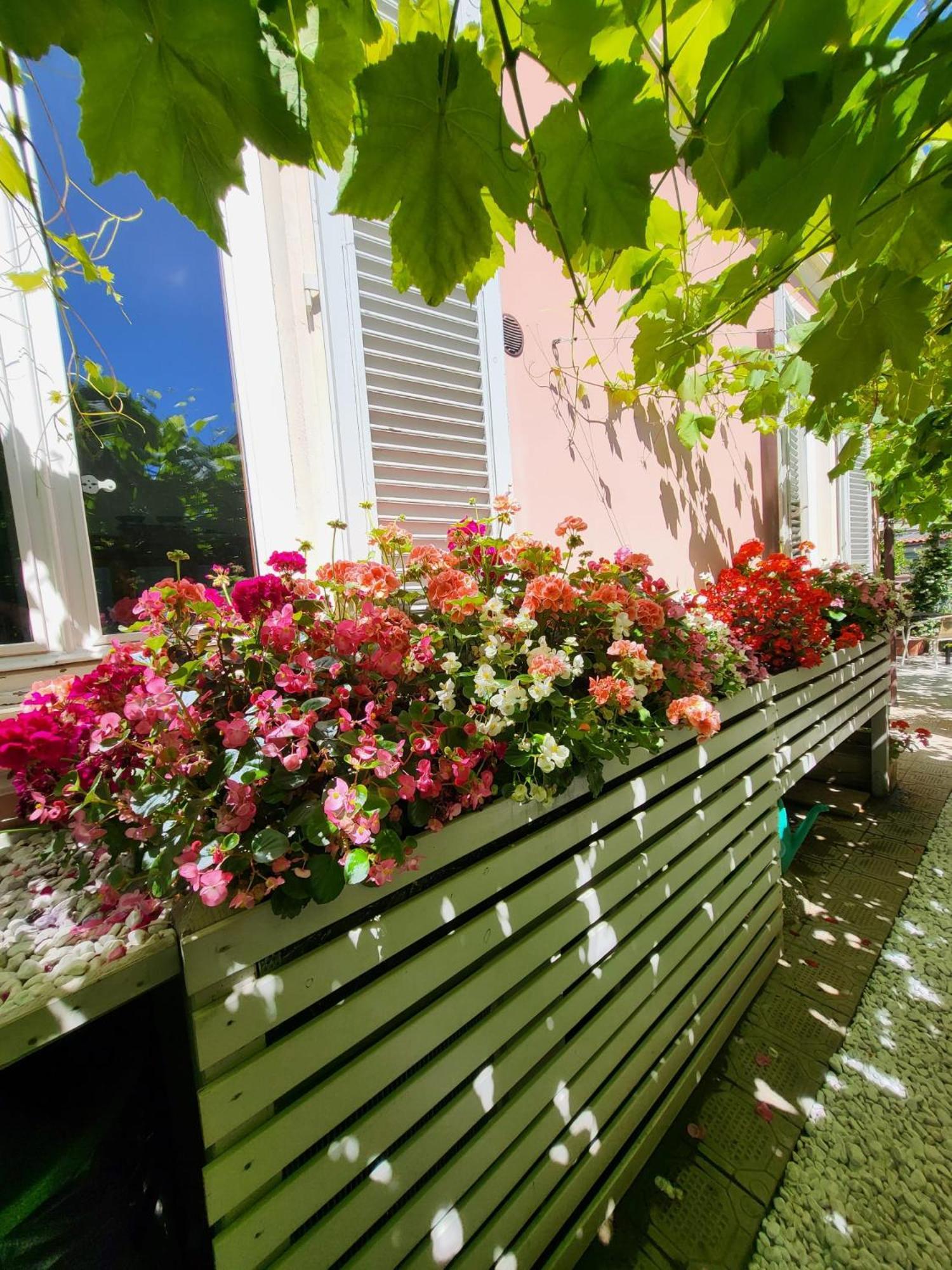 Il Buen Retiro Hotel Lucca Kültér fotó