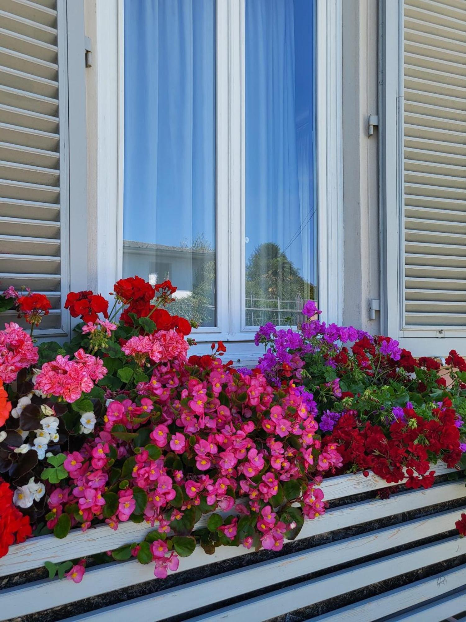 Il Buen Retiro Hotel Lucca Kültér fotó