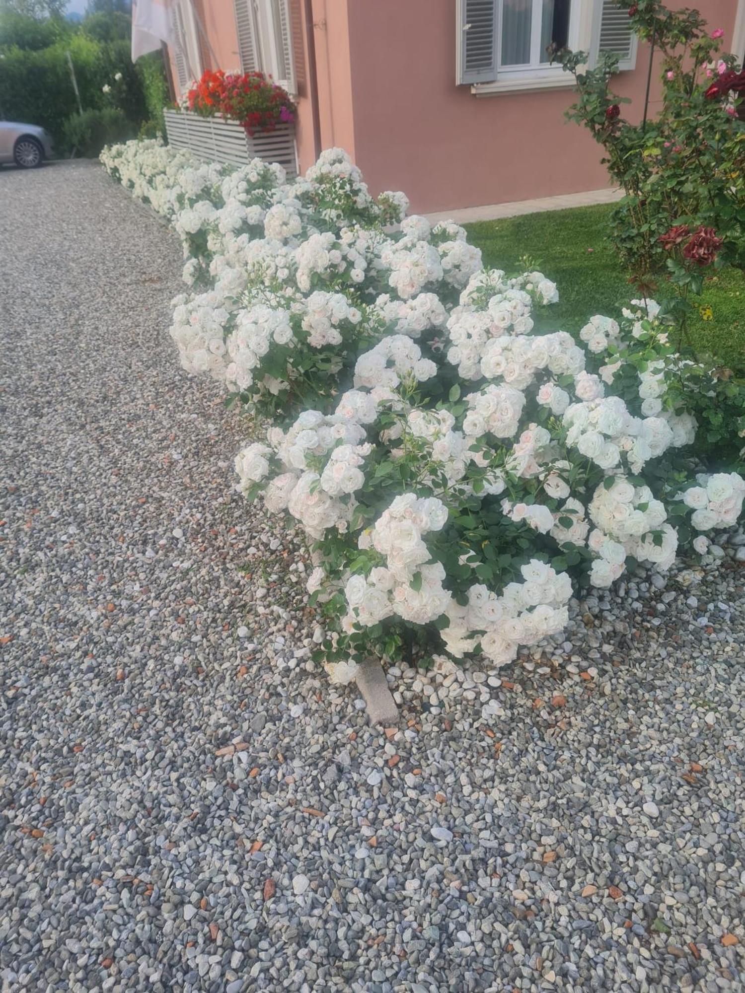 Il Buen Retiro Hotel Lucca Kültér fotó