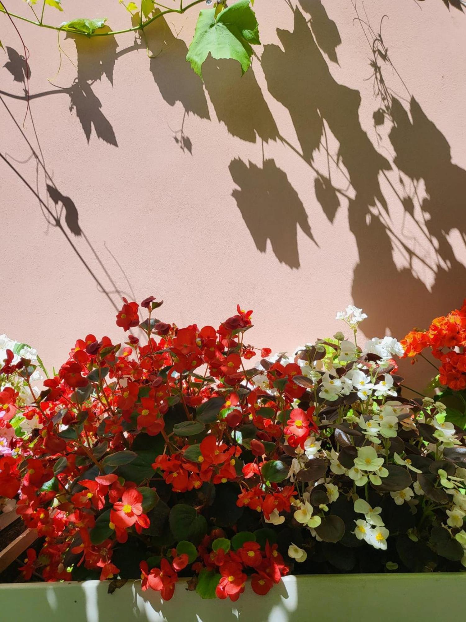 Il Buen Retiro Hotel Lucca Kültér fotó